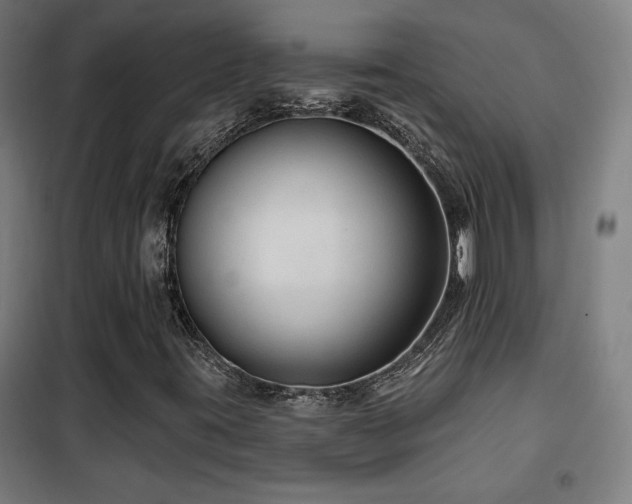 X0000102281395200807251348