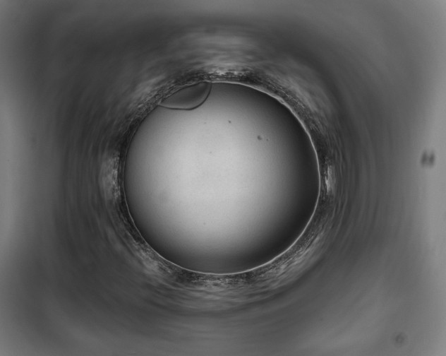 X0000102281396200807251348