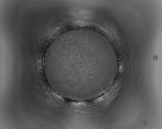 X0000102281397200807251348