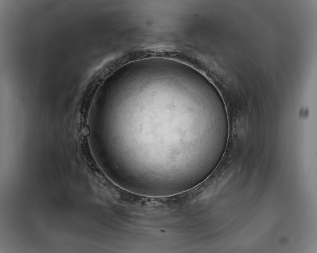 X0000102281398200807251348