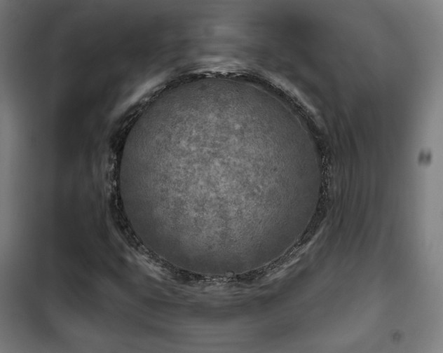 X0000102281399200807251348