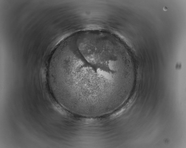 X0000102281401200807251348