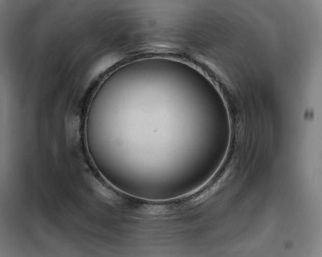 X0000102281402200807251348