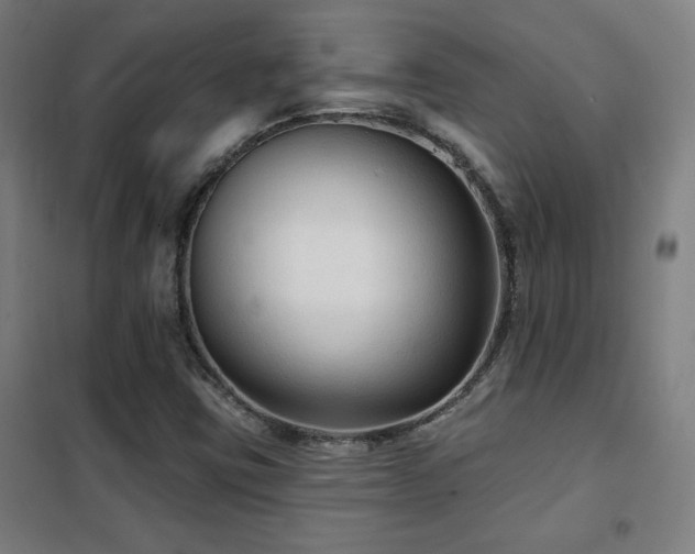 X0000102281403200807251348