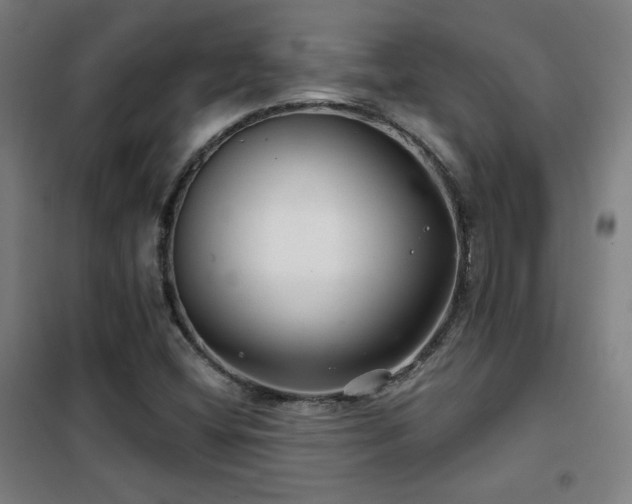X0000102281404200807251348