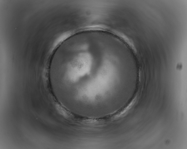 X0000102281405200807251348