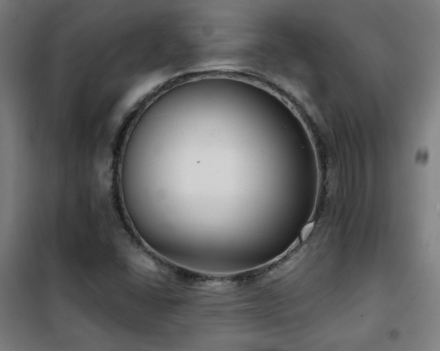 X0000102281406200807251348