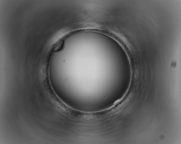 X0000102281407200807251348