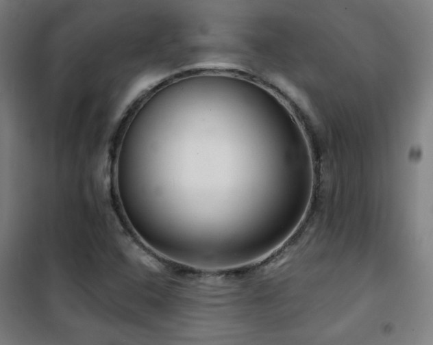 X0000102281408200807251348