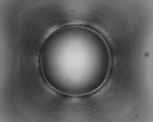 X0000102281409200807251348