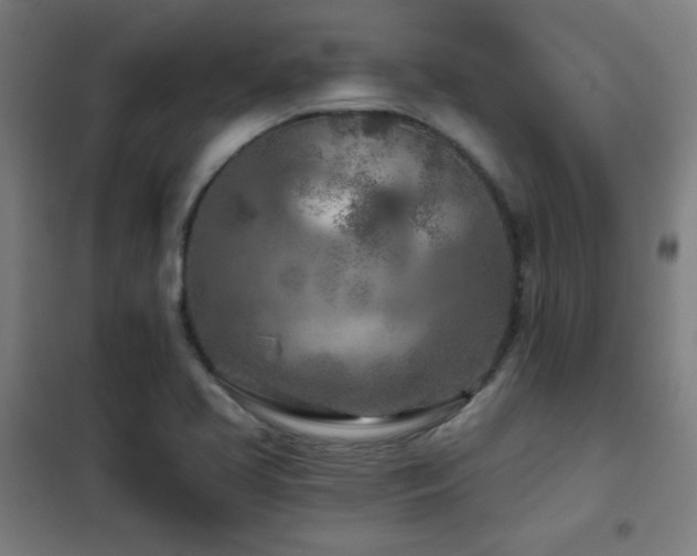 X0000102281413200807251348