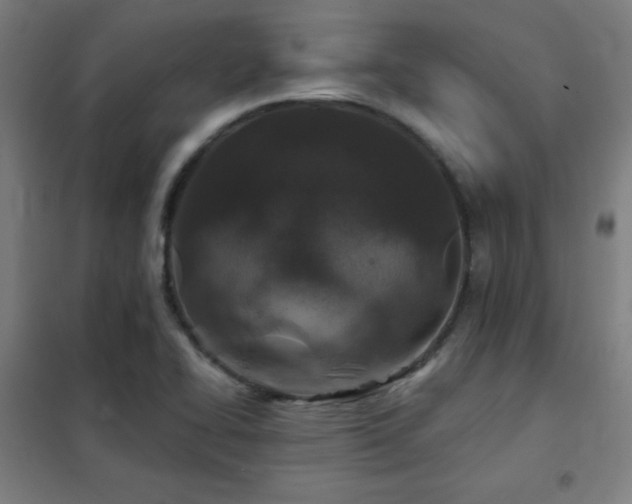 X0000102281414200807251348