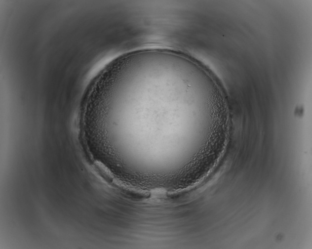 X0000102281415200807251348