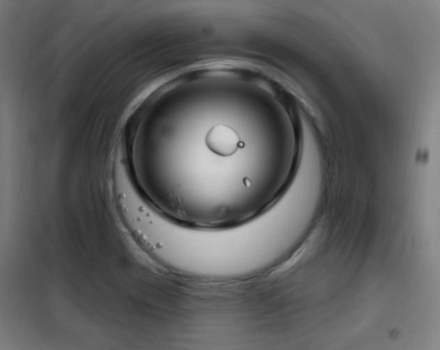 X0000102281417200807251348