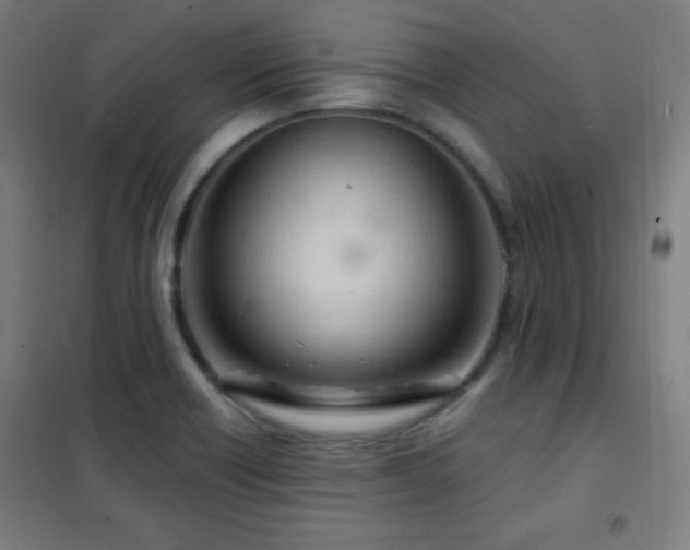X0000102281418200807251348
