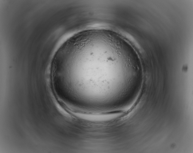 X0000102281421200807251348