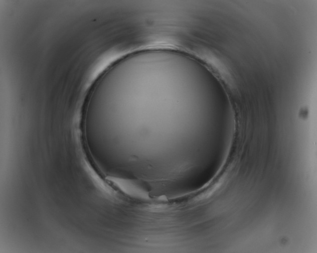 X0000102281422200807251348
