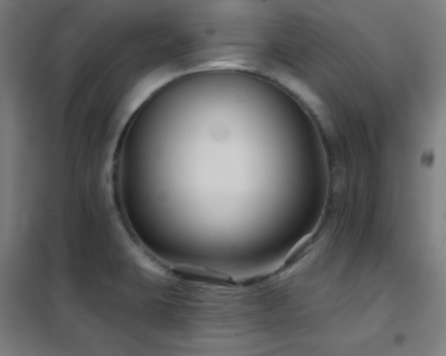 X0000102281423200807251348