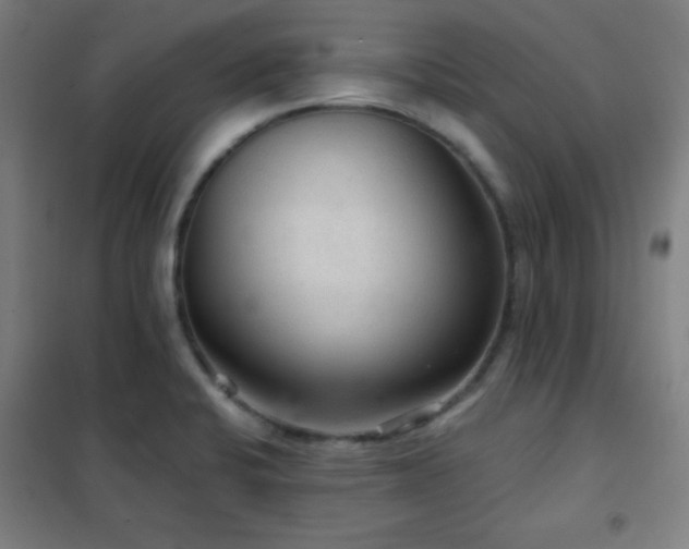 X0000102281424200807251348
