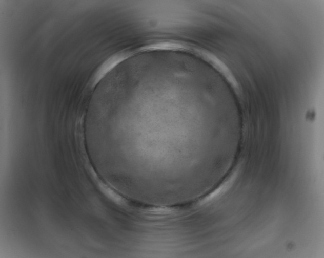 X0000102281425200807251348