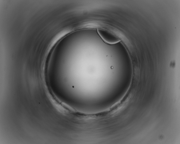 X0000102281426200807251348