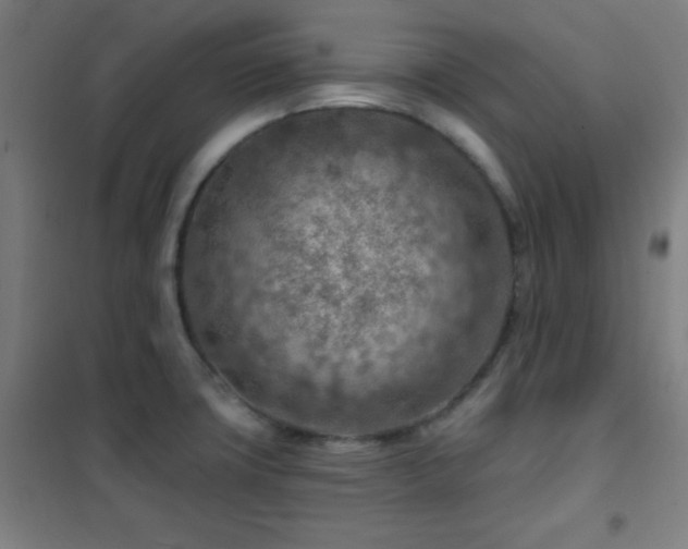 X0000102281427200807251348