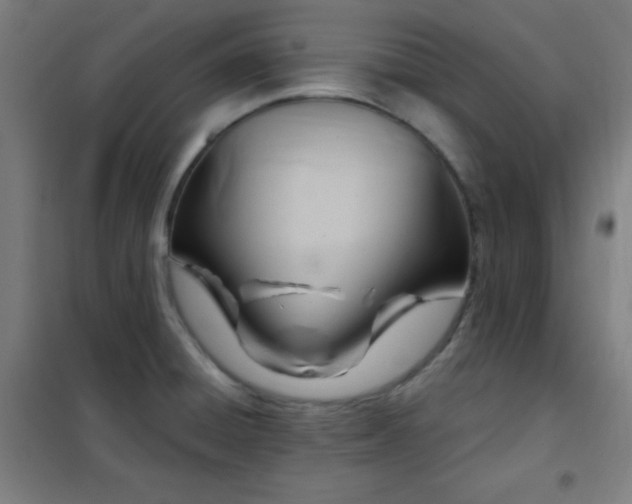 X0000102281428200807251348