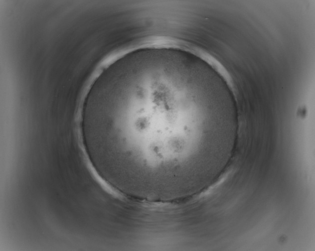 X0000102281429200807251348