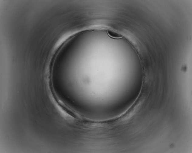 X0000102281430200807251349