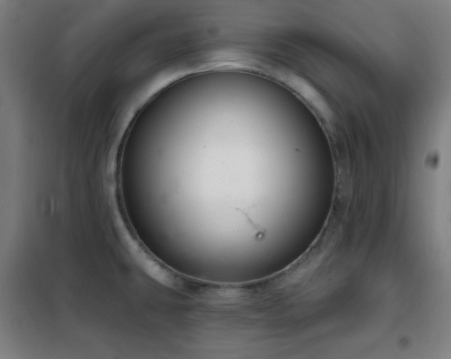 X0000102281431200807251349