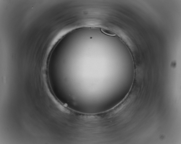 X0000102281432200807251349