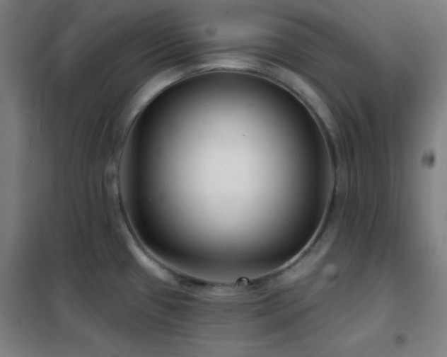 X0000102281433200807251349