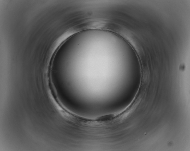 X0000102281434200807251349