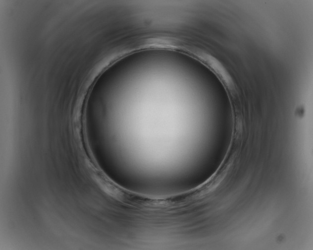 X0000102281435200807251349