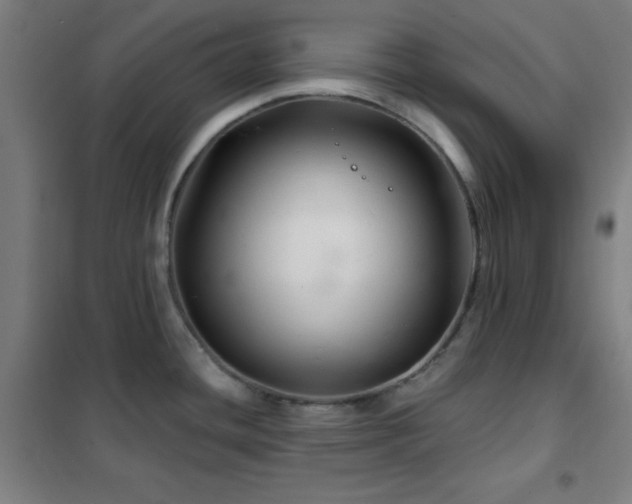 X0000102281436200807251349