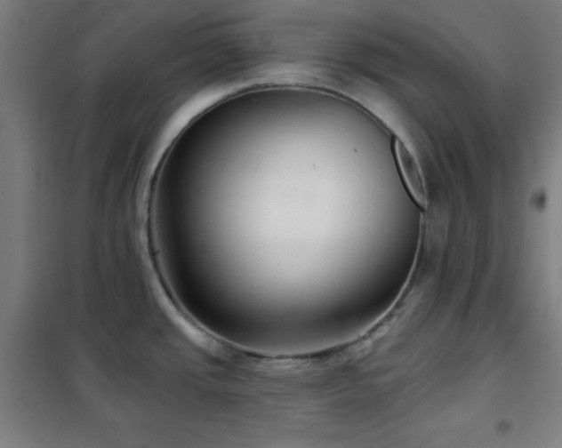 X0000102281437200807251349