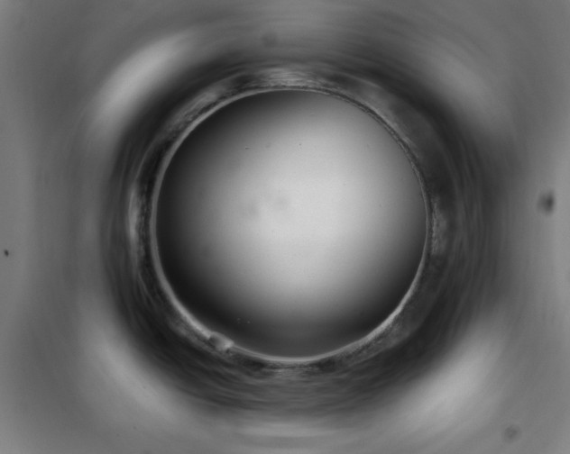 X0000102281438200807251349