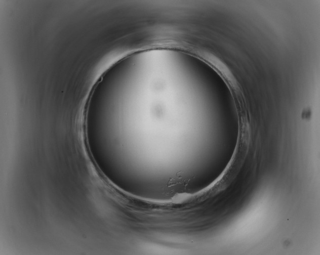 X0000102281439200807251349