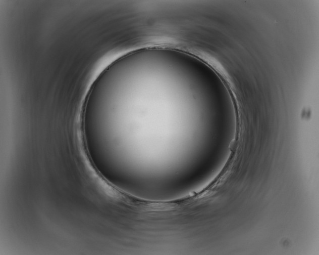 X0000102281440200807251349