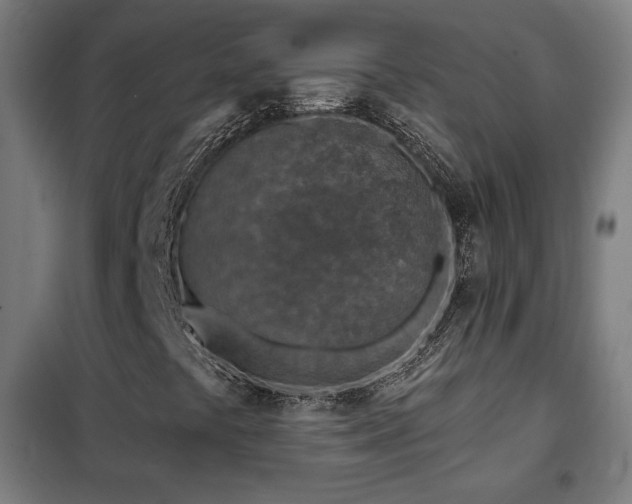 X0000102281441200807251348
