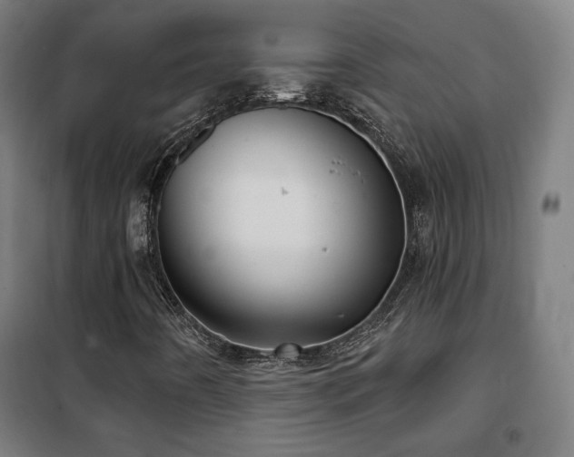 X0000102281442200807251348