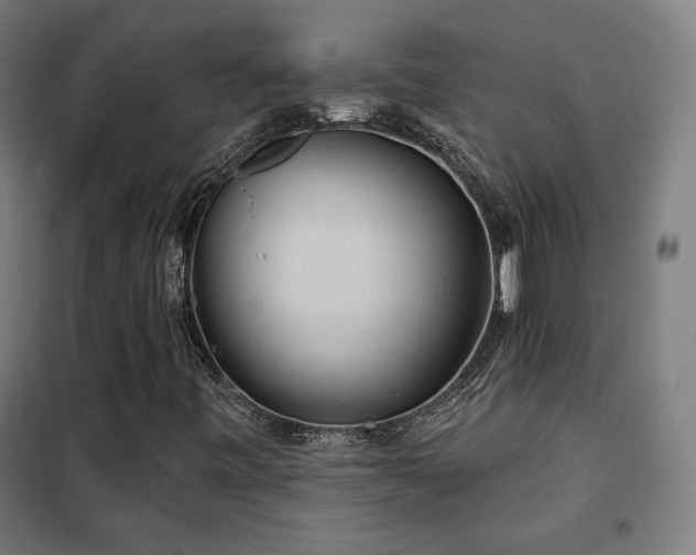 X0000102281443200807251348