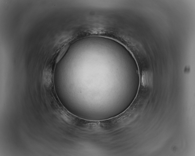 X0000102281444200807251348