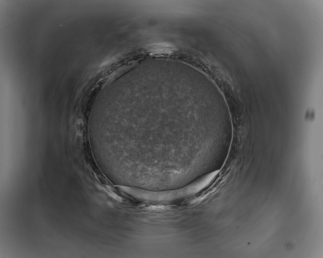 X0000102281445200807251348