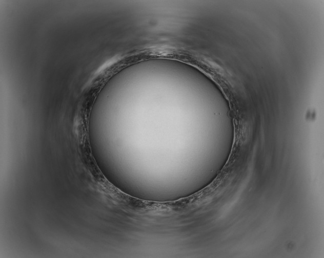 X0000102281446200807251348