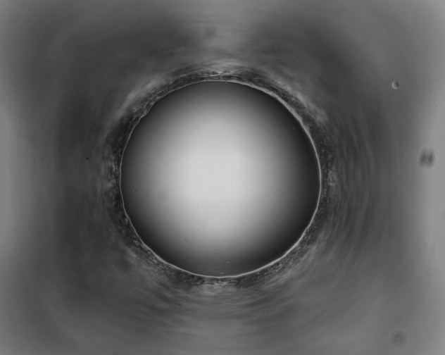 X0000102281447200807251348