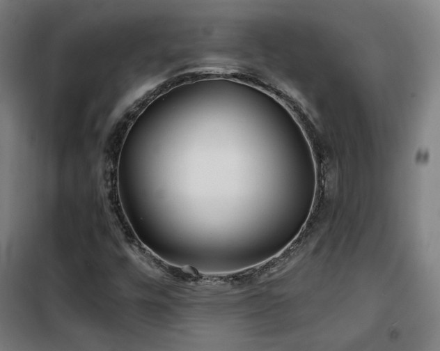 X0000102281448200807251348