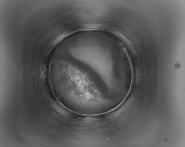 X0000102281449200807251348