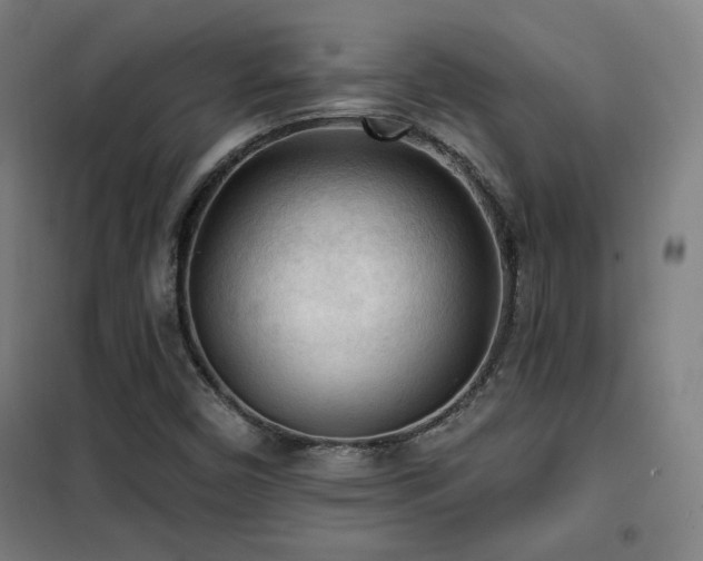 X0000102281450200807251348