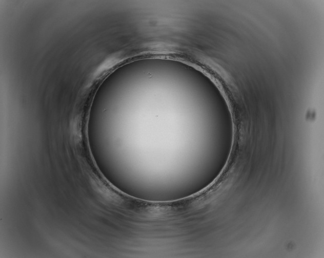 X0000102281451200807251348